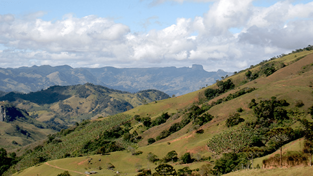 Gonçalves MG