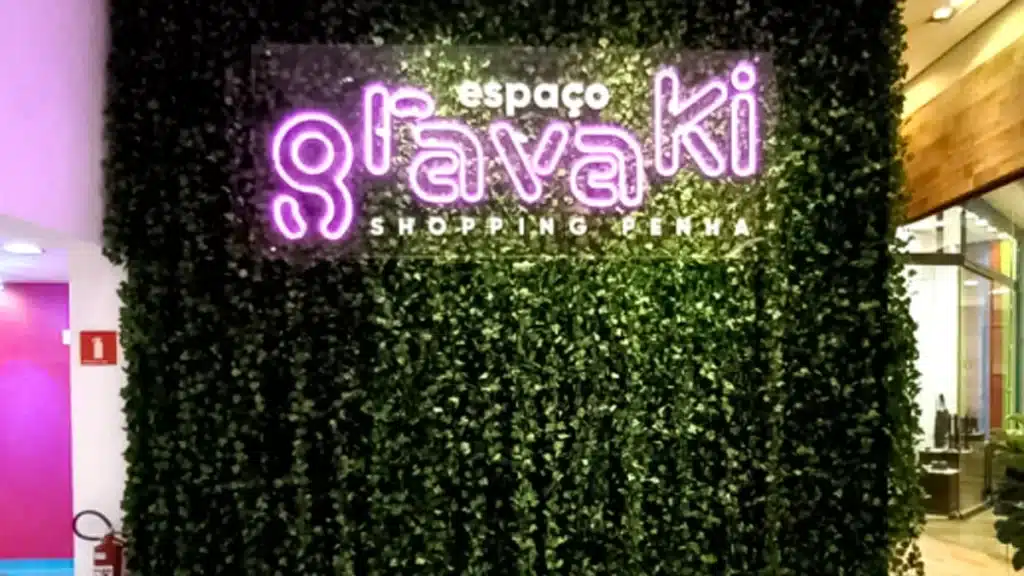 Gravaki