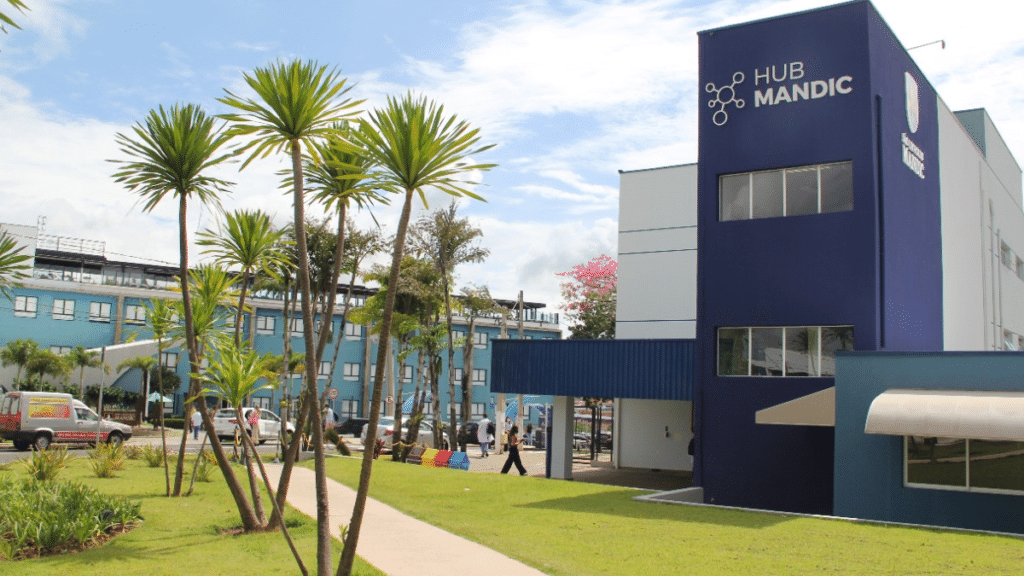 Hub Mandic